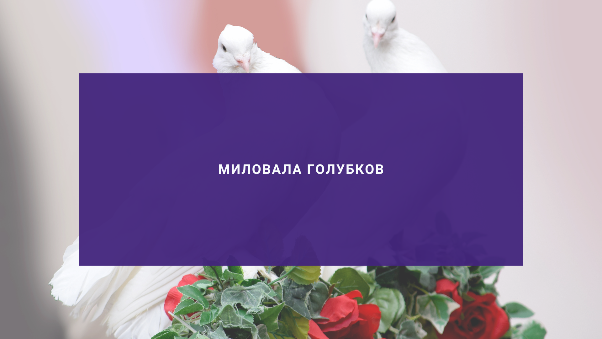 Миловала голубков