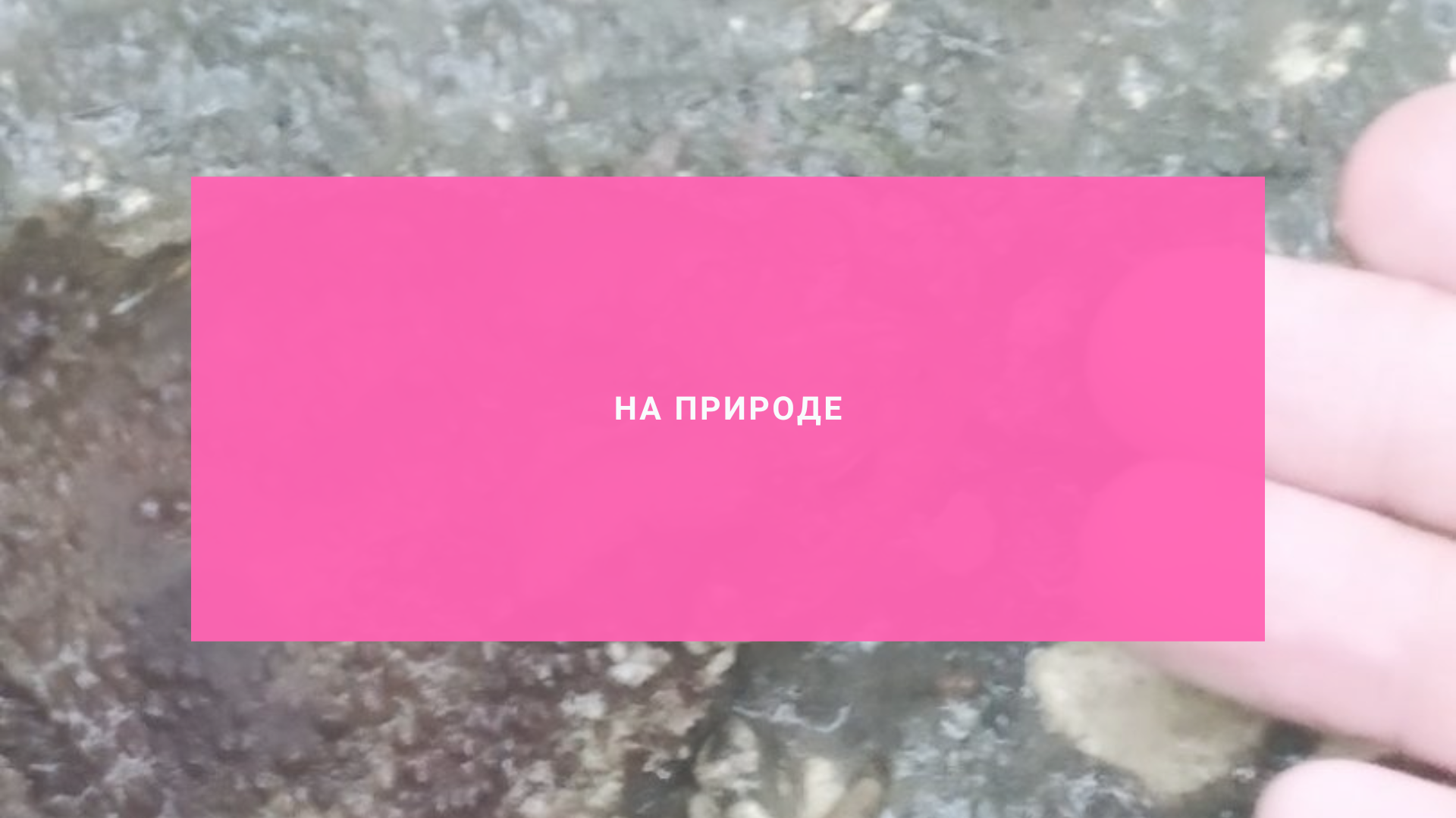 На природе