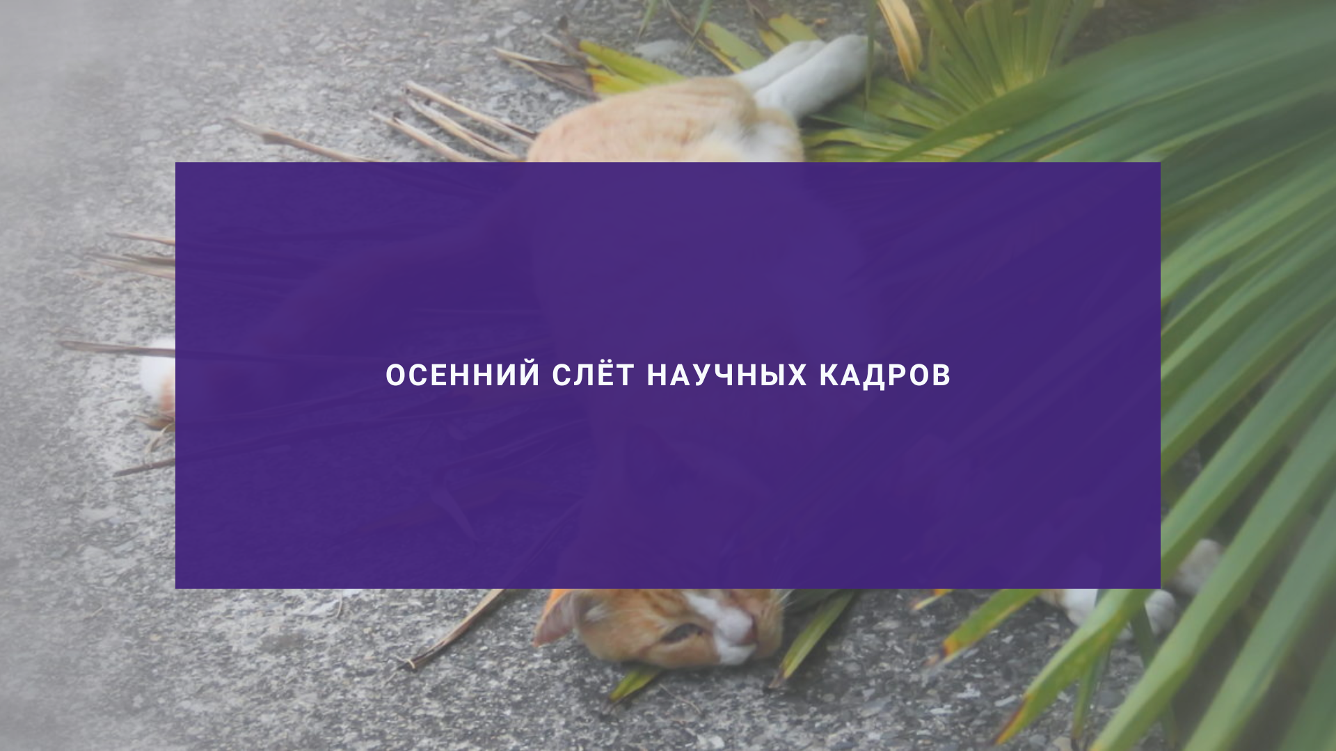 Осенний слёт научных кадров