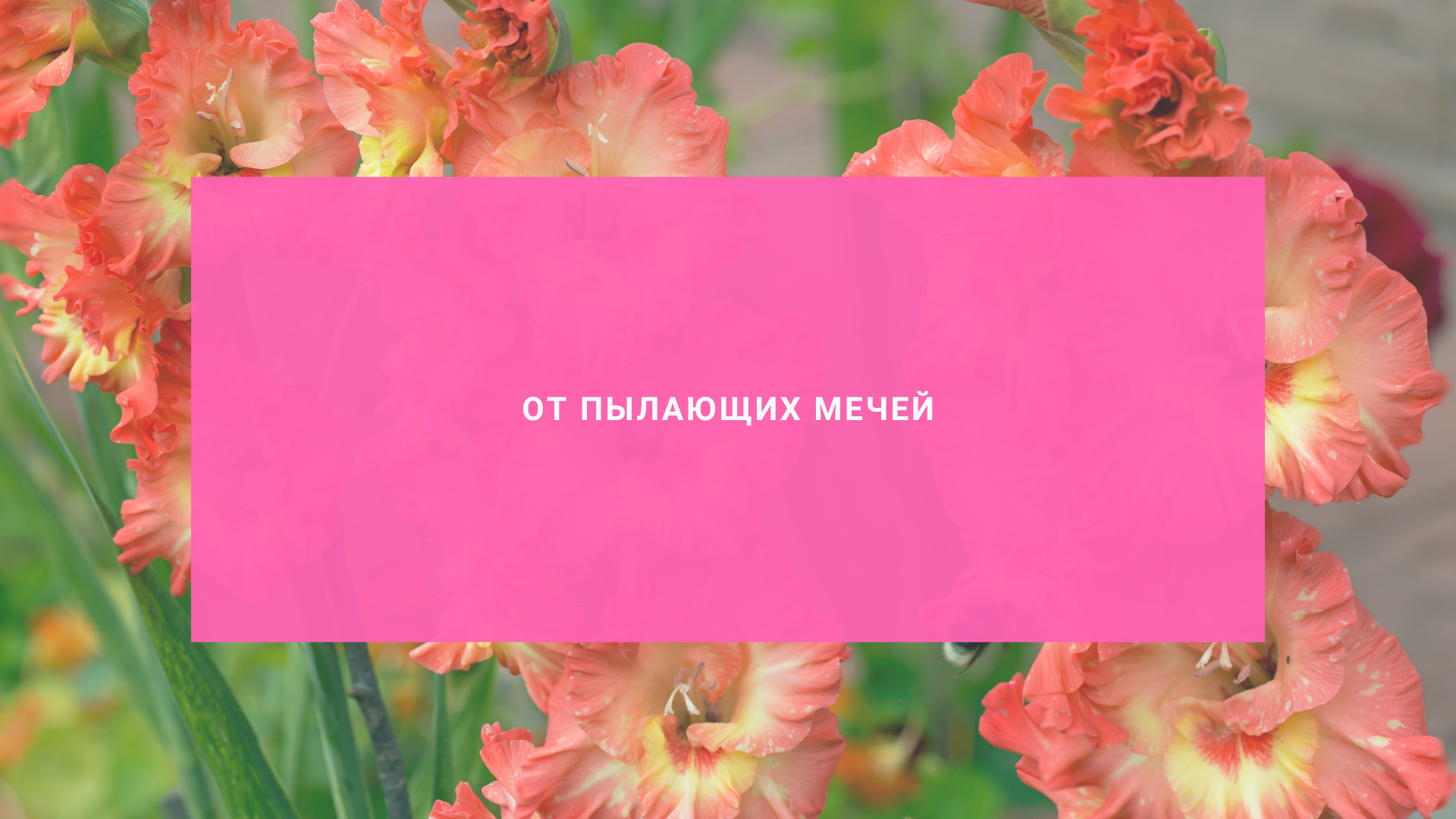 От пылающих мечей