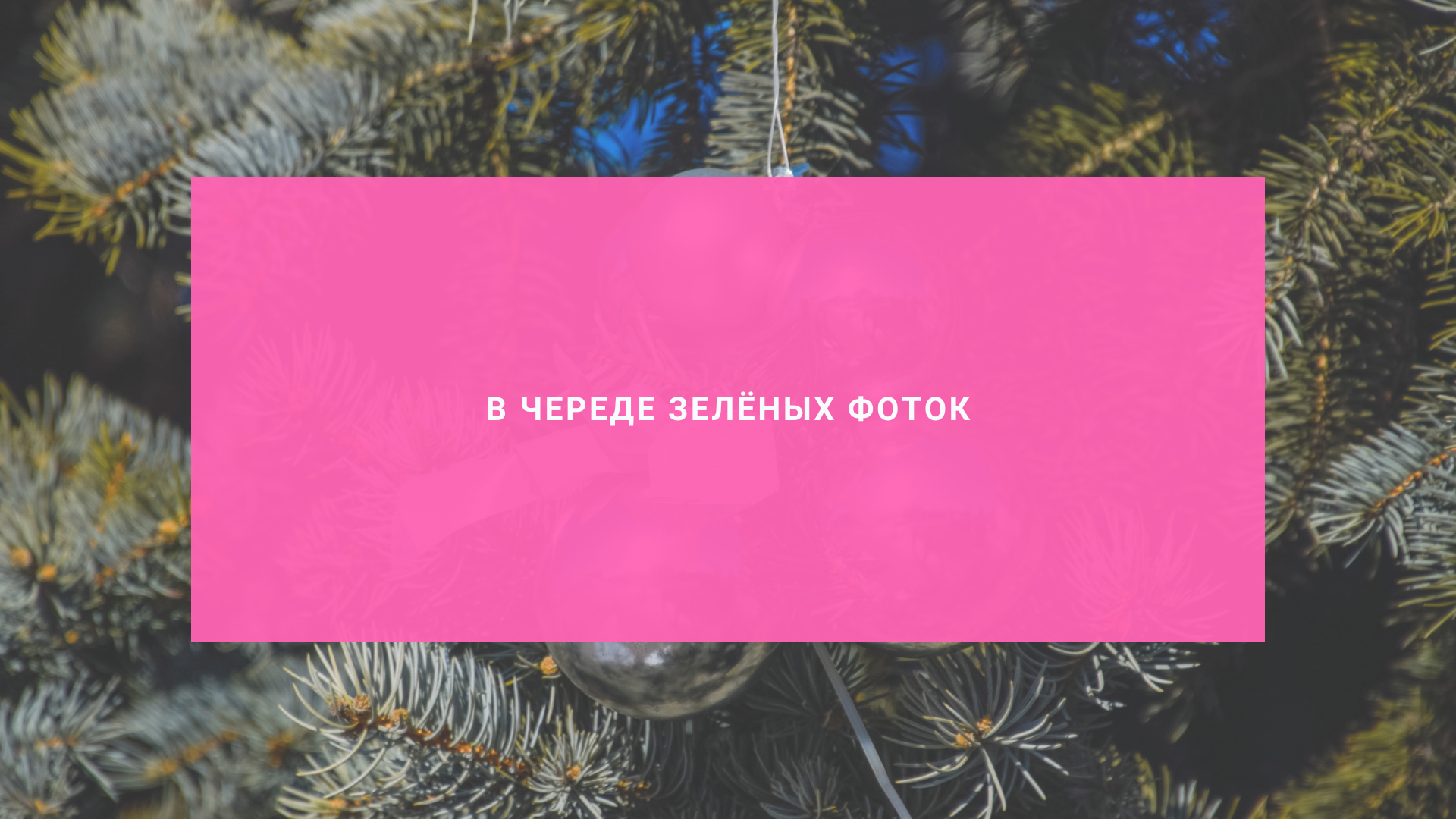 В череде зелёных фоток
