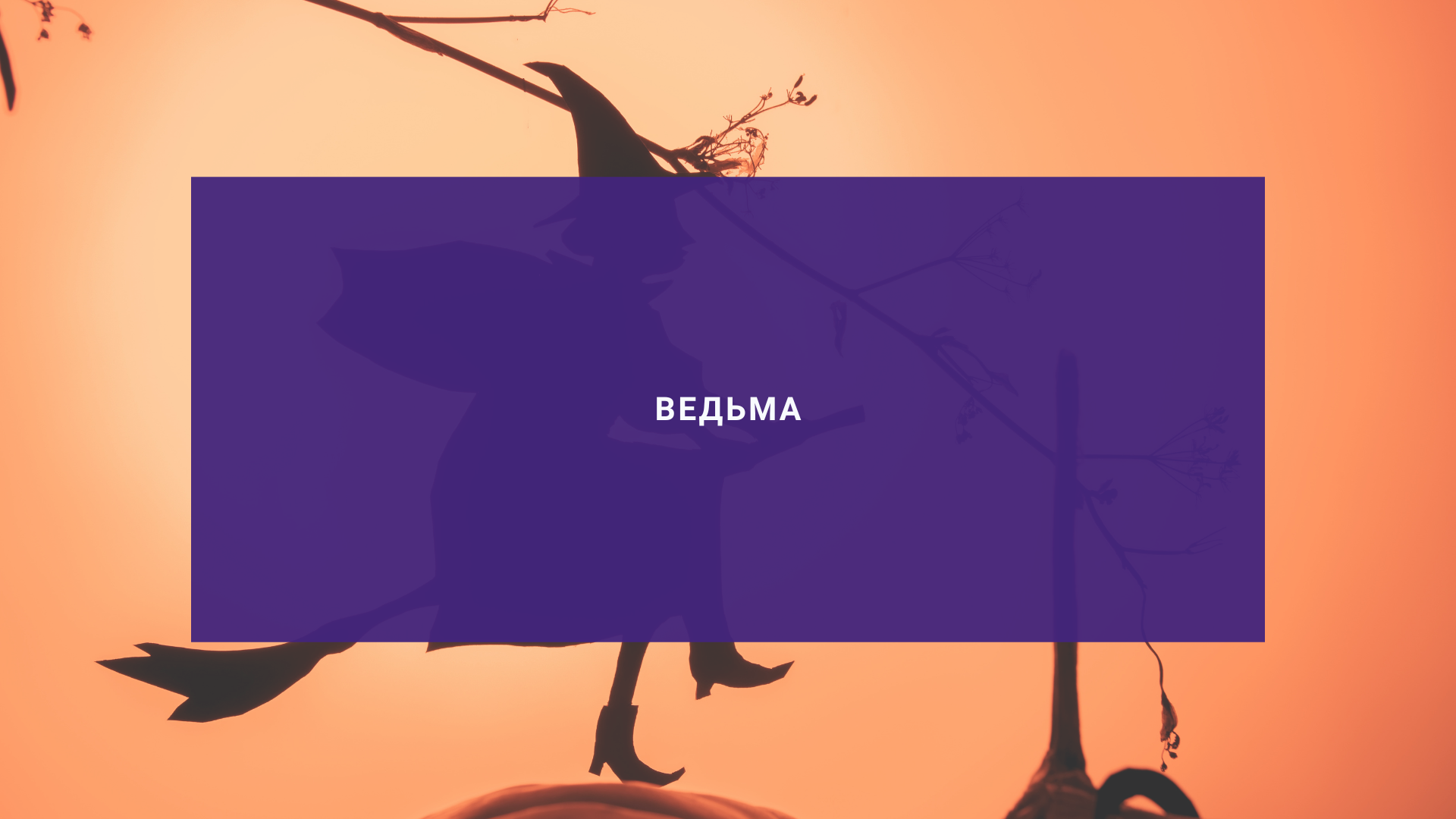 Ведьма